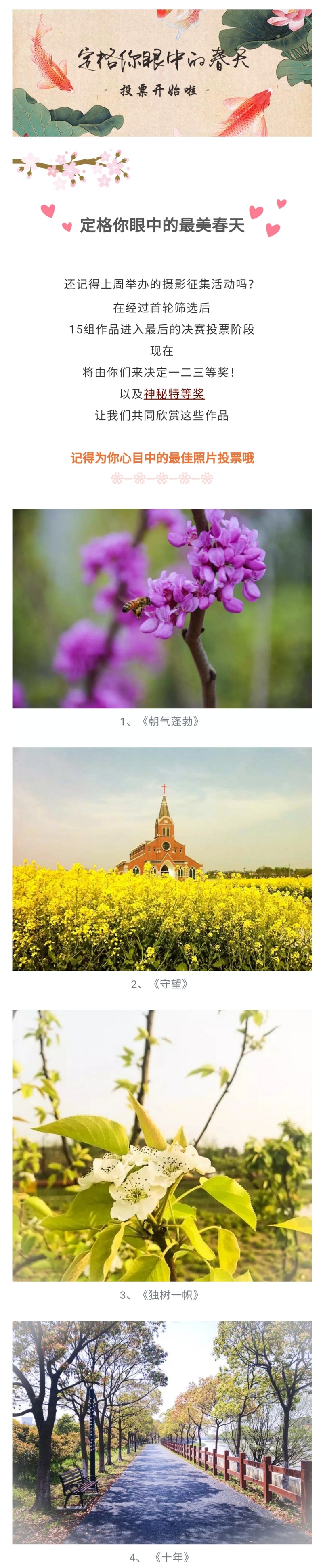 1600322985836614UKgv.jpg 1.jpg